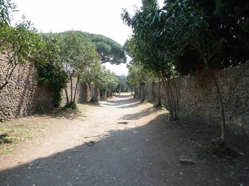 Vicolo del Anfiteatro, May 2010. Looking south between II.5 and II.4.