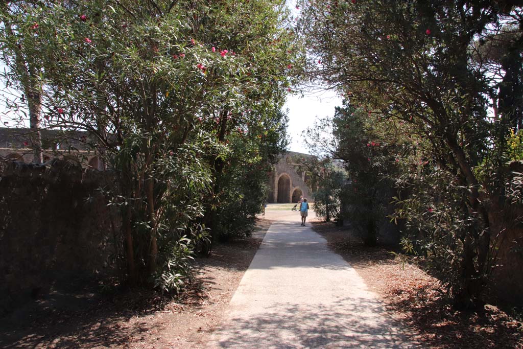 Vicolo dell’Anfiteatro, Pompeii. September 2019. Looking south towards Amphitheatre and Piazzale Anfiteatro. 
Photo courtesy of Klaus Heese.
