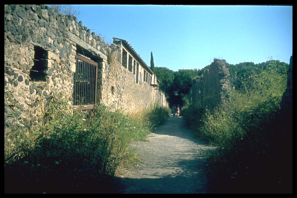 Vicolo di Giulia Felice. Looking south. 
Photographed 1970-79 by Günther Einhorn, picture courtesy of his son Ralf Einhorn.
