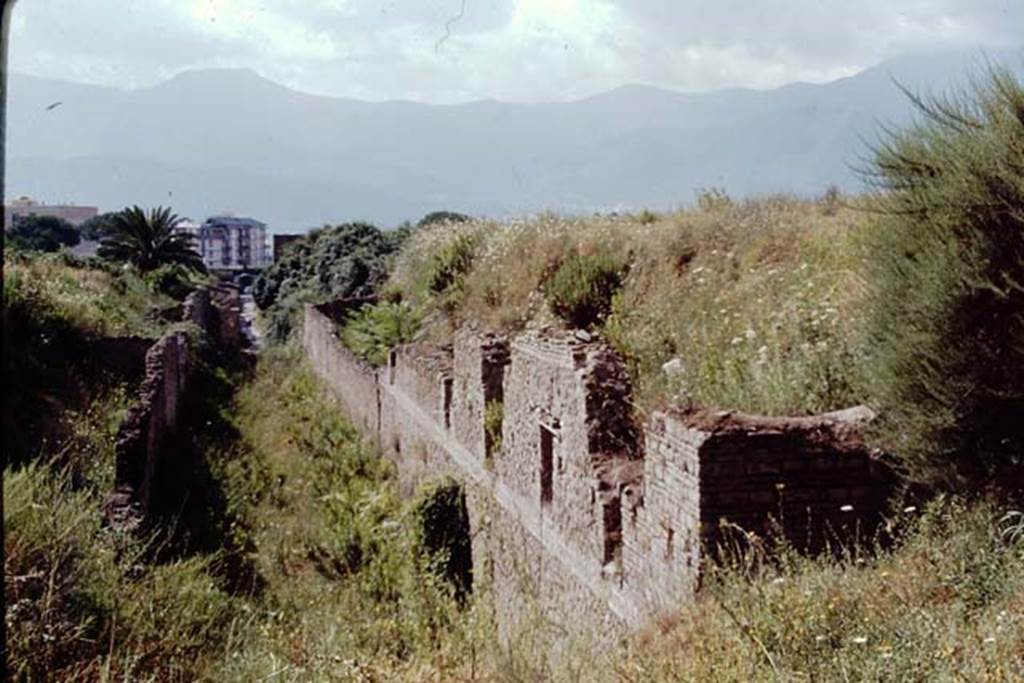 Vicolo di Ifigenia between III.4 and III.3, Pompeii. 1968.  North end. Looking south towards Nocera Gate, from the unexcavated area.  Photo by Stanley A. Jashemski.
Source: The Wilhelmina and Stanley A. Jashemski archive in the University of Maryland Library, Special Collections (See collection page) and made available under the Creative Commons Attribution-Non Commercial License v.4. See Licence and use details.
J68f0856
