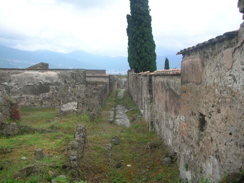 Vicolo di Narciso, Pompeii. May 2010. Looking south from west side of Tower XII. Photo courtesy of Ivo van der Graaff.