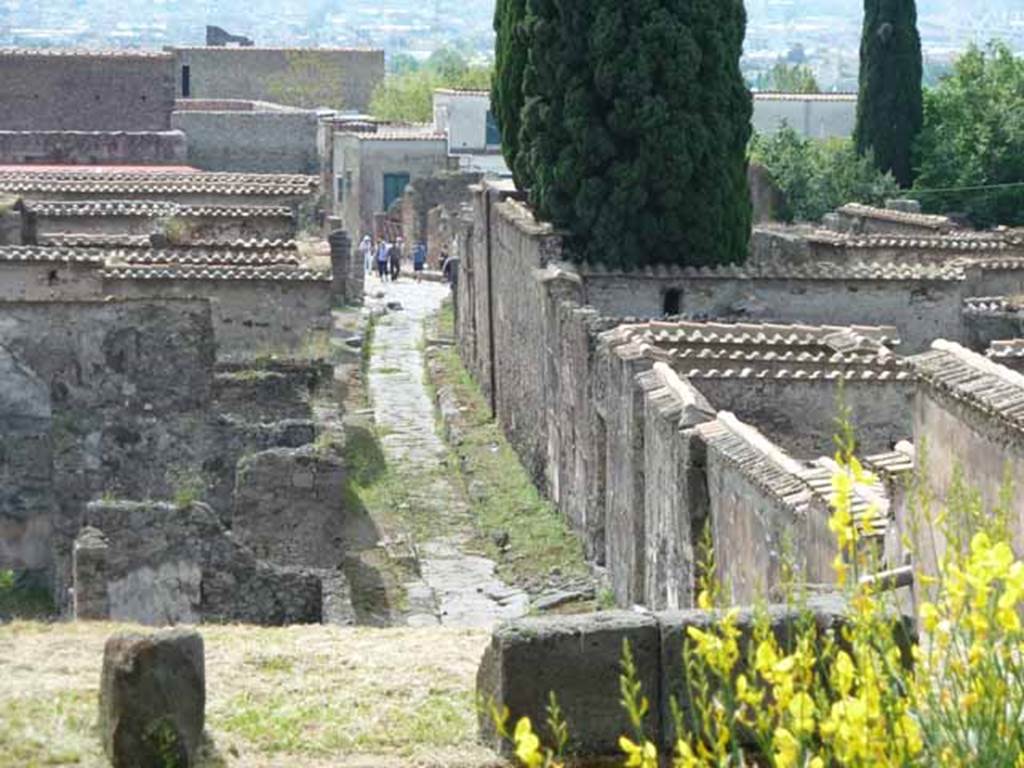 Vicolo di Narciso between VI.2 and VI.1. May 2010. Looking south towards junction with Via Consolare. 
