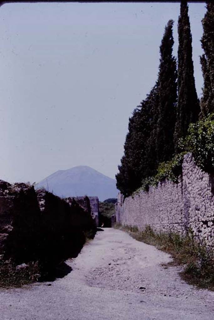 Vicolo di Octavius Quartio, Pompeii. 1964. Looking north from the junction with Via di Castricio.   Photo by Stanley A. Jashemski.
Source: The Wilhelmina and Stanley A. Jashemski archive in the University of Maryland Library, Special Collections (See collection page) and made available under the Creative Commons Attribution-Non Commercial License v.4. See Licence and use details.
J64f1073
