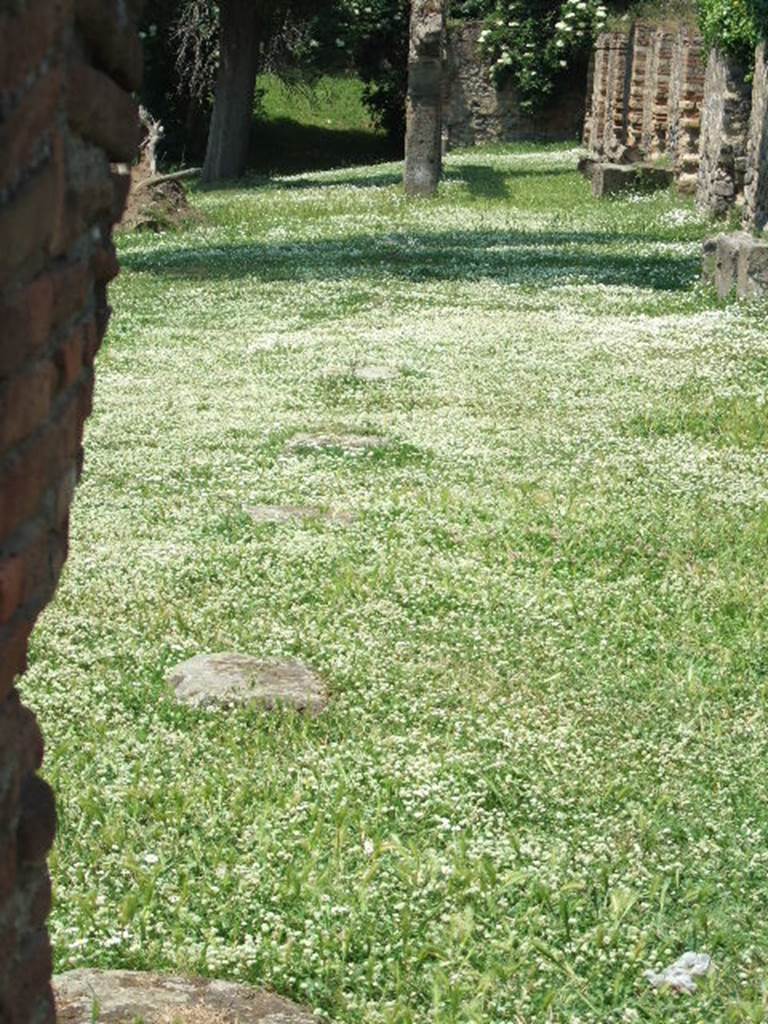 HGE19 Pompeii. May 2006.  Looking north along line of foundations of columns for colonnade.
