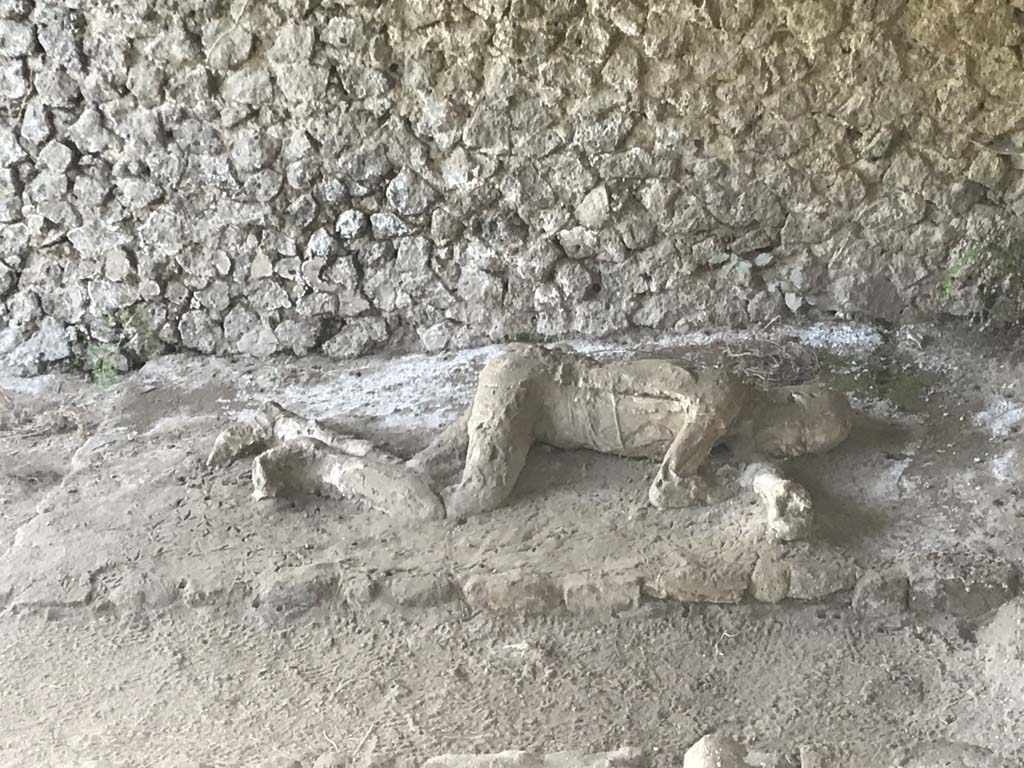 Pompeii, outside Porta Nocera. April 2019. 
Plaster cast of remains of a second fleeing victim found in 1956/7. Photo courtesy of Rick Bauer. 
