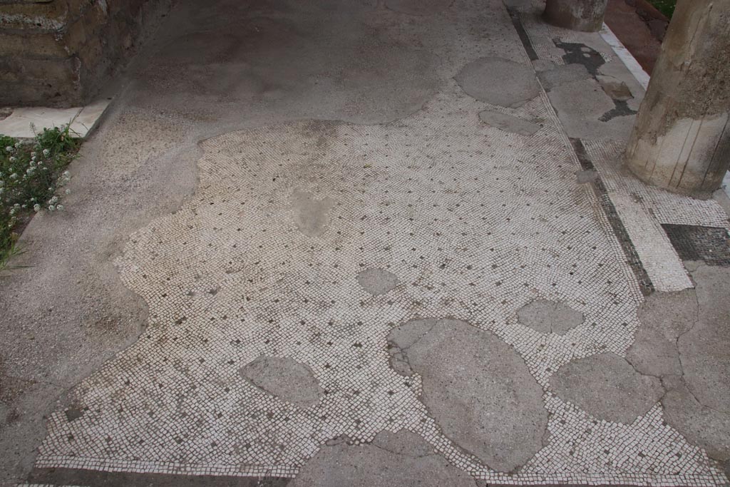 Oplontis Villa of Poppea, May 2024. East Portico 34, detail of flooring. Photo courtesy of Klaus Heese.