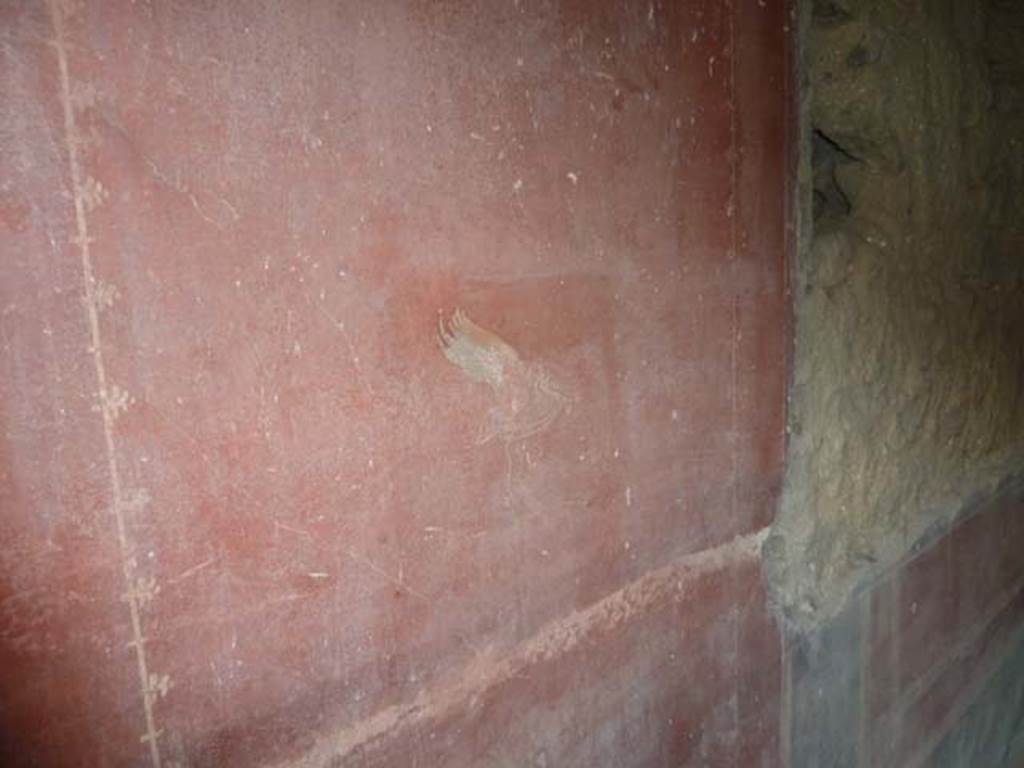 Oplontis, September 2015. Room 55, painted bird in middle of red panel on east wall.