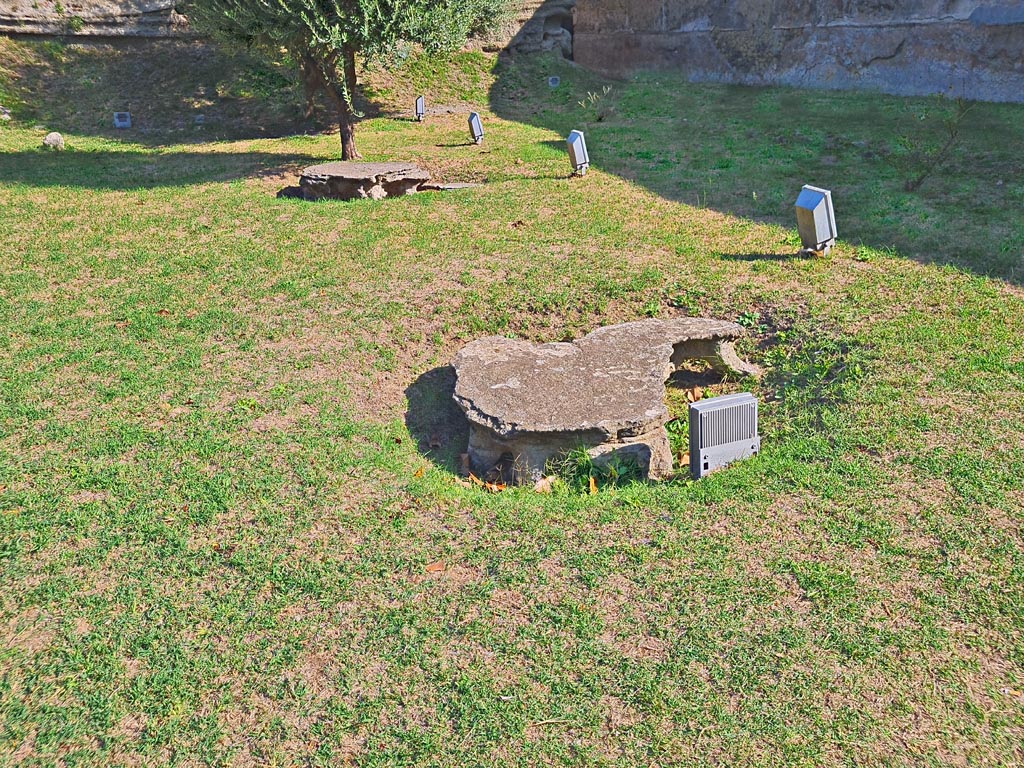 Oplontis Villa of Poppea, October 2023. 
Looking north-east across north garden 56 towards unexcavated and plaster casts of Jashemski tree roots. Photo courtesy of Giuseppe Ciaramella.
