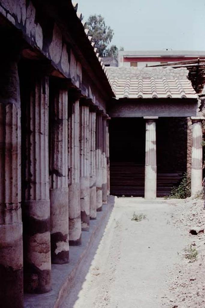 Oplontis 1974. Peristyle 59, looking north along west portico. Photo by Stanley A. Jashemski.   
Source: The Wilhelmina and Stanley A. Jashemski archive in the University of Maryland Library, Special Collections (See collection page) and made available under the Creative Commons Attribution-Non Commercial License v.4. See Licence and use details. J74f0624
