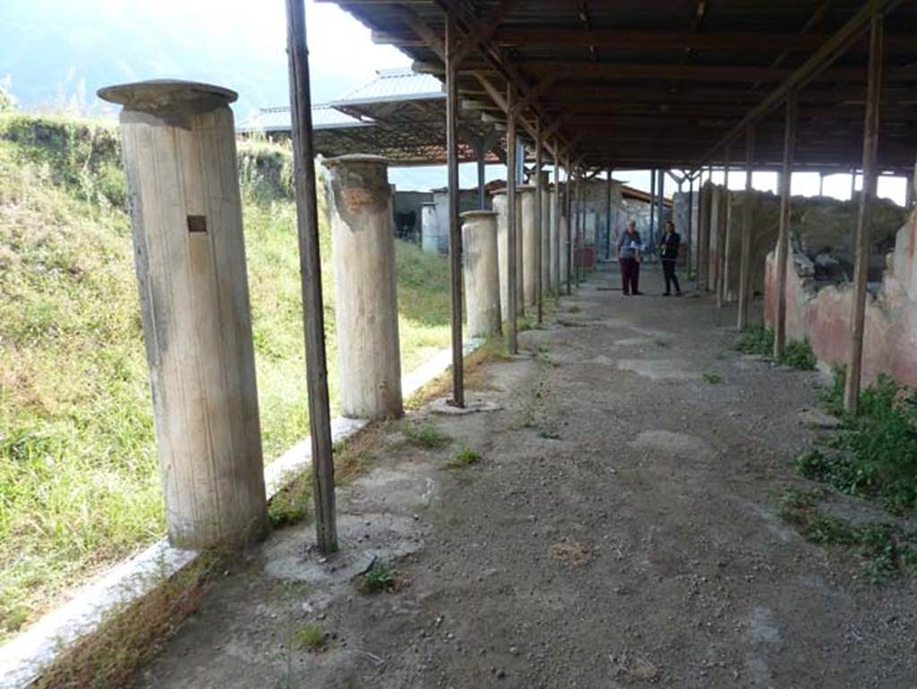 Stabiae, Secondo Complesso (Villa B), September 2015. Room 1, looking west along north portico.