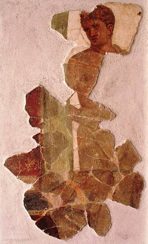 Stabiae, Villa Arianna, found in the excavations of the 1950s in the infill from the Bourbon era excavations. 
Painting of Pylades or a young hero. Room location unknown.
Now in Stabia Antiquarium, inventory number 2528.
