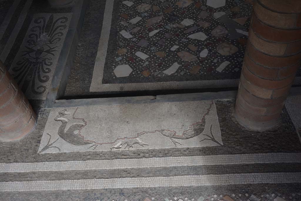 I.10.4 Pompeii. September 2019. Room 46, mosaic in baths’ atrium.
Foto Annette Haug, ERC Grant 681269 DÉCOR.
