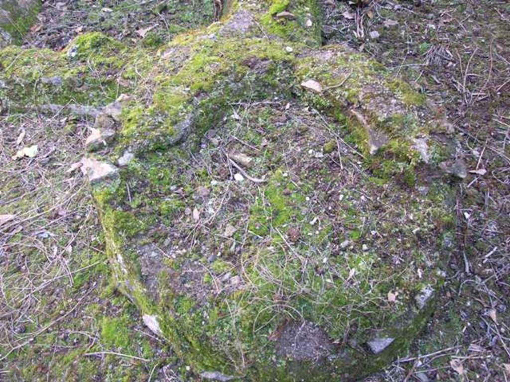 I.10.4 Pompeii. March 2009. Round structure next to rectangular area, in area S[50].  Well or cistern mouth?
