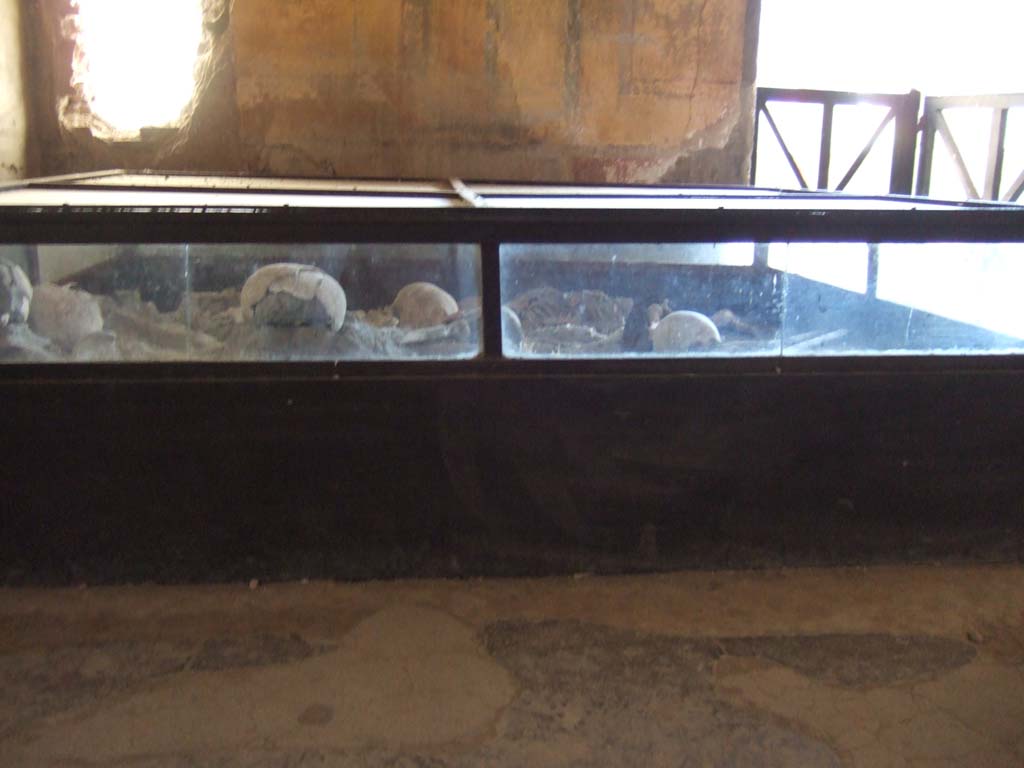 I.10.4 Pompeii. May 2006. Room 19, skeletons in glass case.