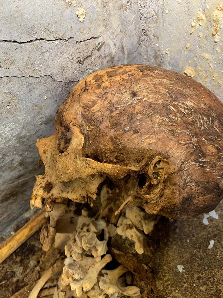 Porta Sarno la tomba di Marcus Venerius Secundio. August 2021. Skull of skeleton showing remains of hair.

Cranio di scheletro che mostra resti di capelli.

Photograph © Parco Archeologico di Pompei.
